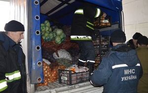 Ветеранам и детям с ограниченными возможностями привезли крупы, мясные и рыбные корнсервы, печенье, масло, чай