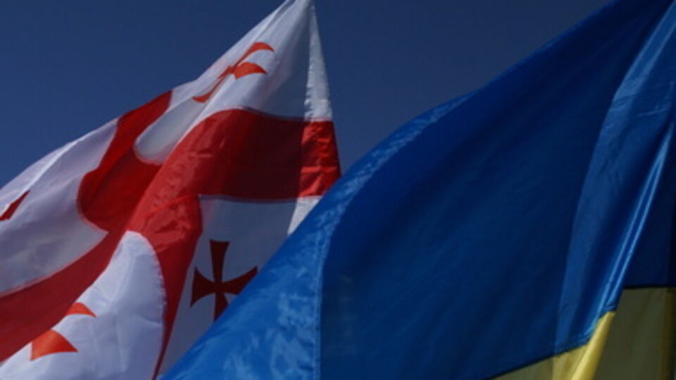 Грузия планирует начать активное сотрудничество с Украиной в 2015 году