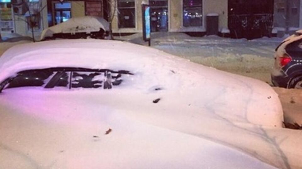 Активисты откапывают машины из-под снега и зовут в гости незнакомых людей