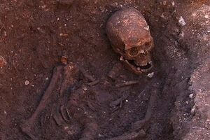 ДНК-анализ подтвердил подлинность останков