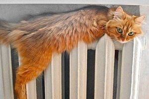 По состоянию на 30 декабря без отопления и горячей воды оставались 23 пользователя