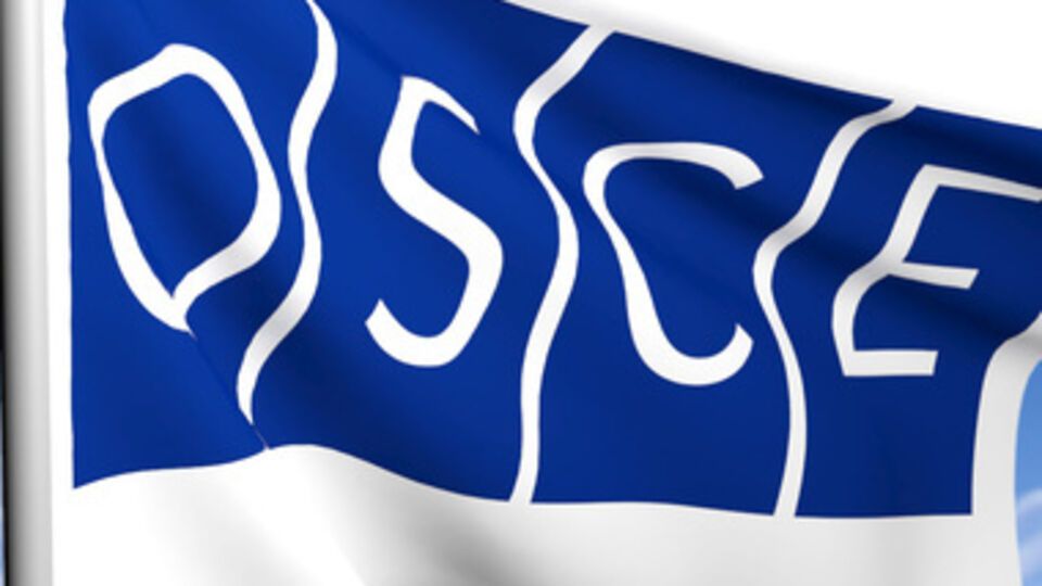 ОБСЕ не приняла итоговый документ по Украине
