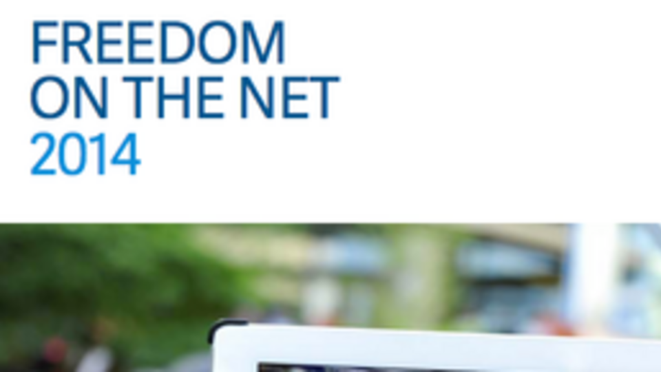 Из-за Януковича Украина стала "частично свободной" в интернете