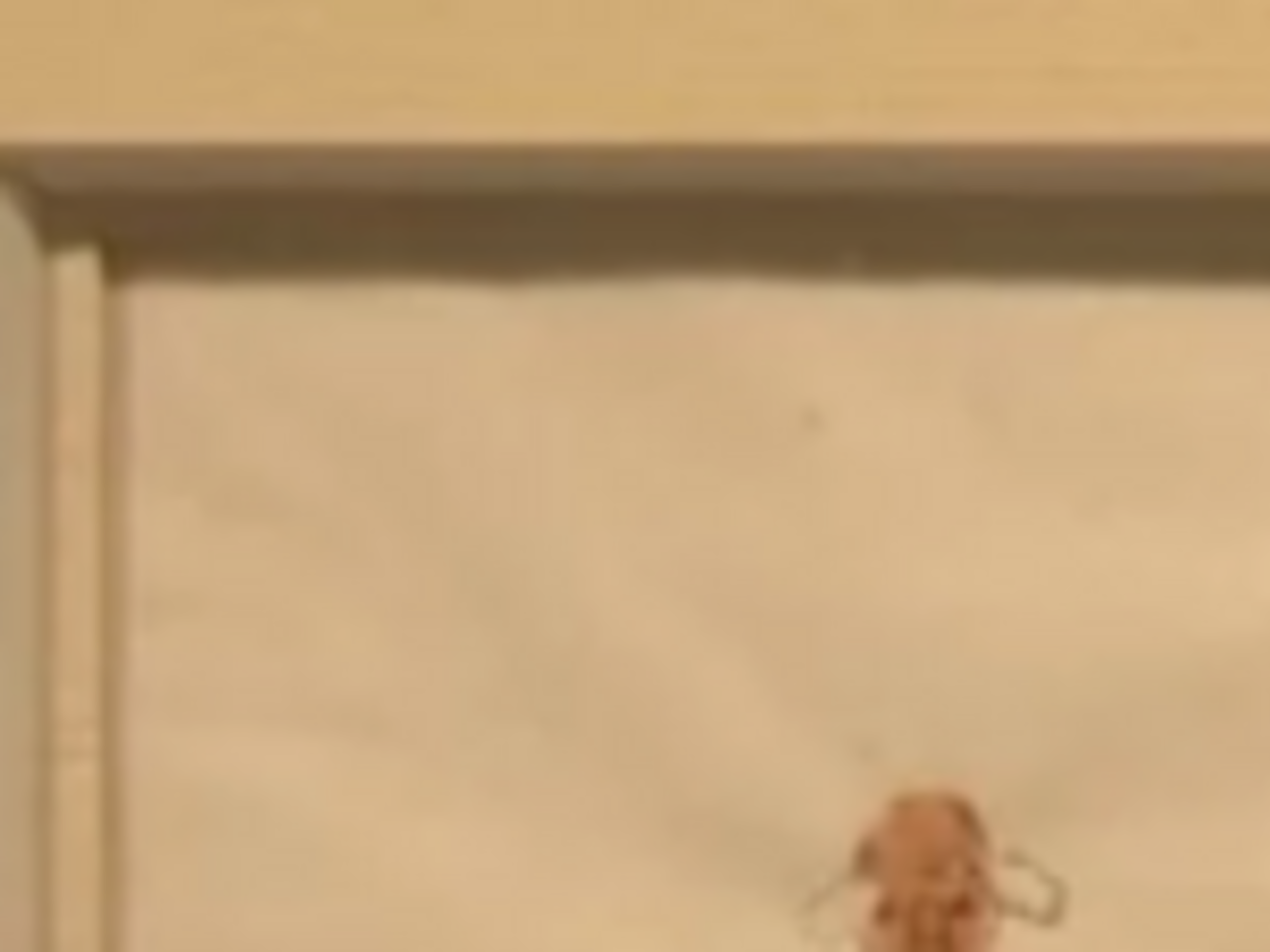 Акварель была написана автором в 40-х года XX века