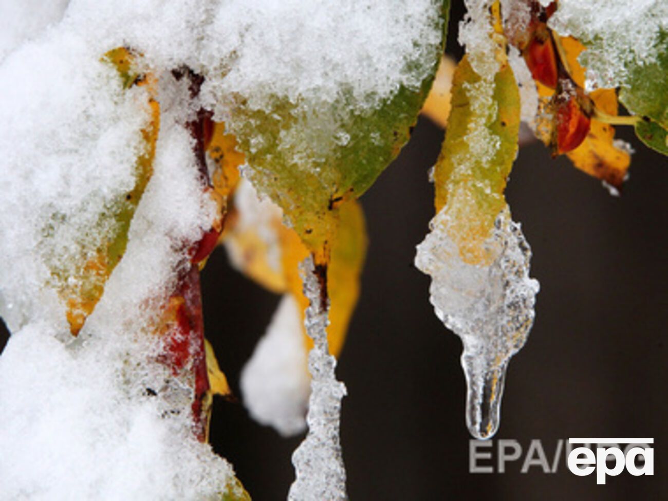 Температура воздуха по стране поднимется до плюсовых показателей