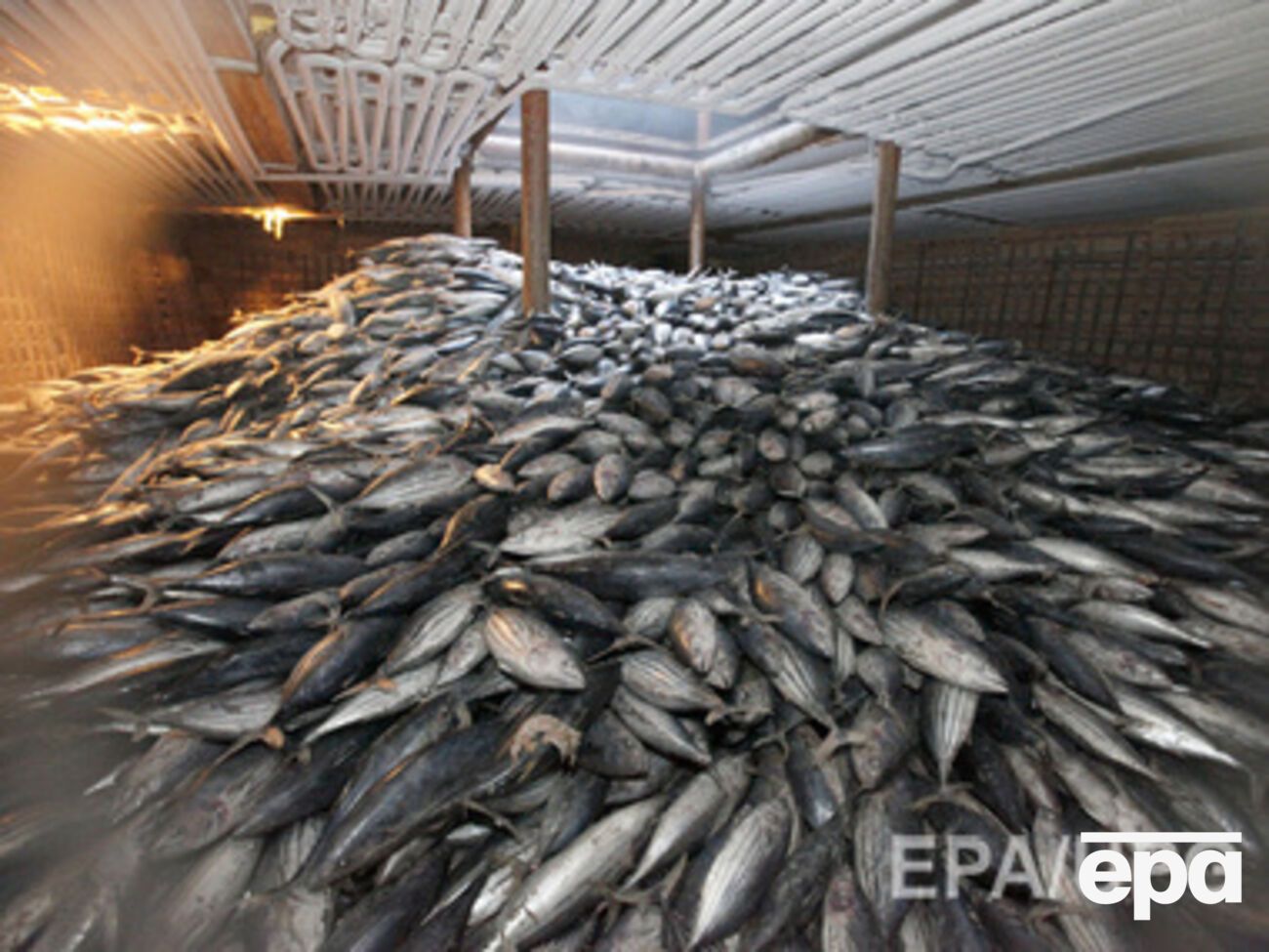 В Крым не пустили рыбу