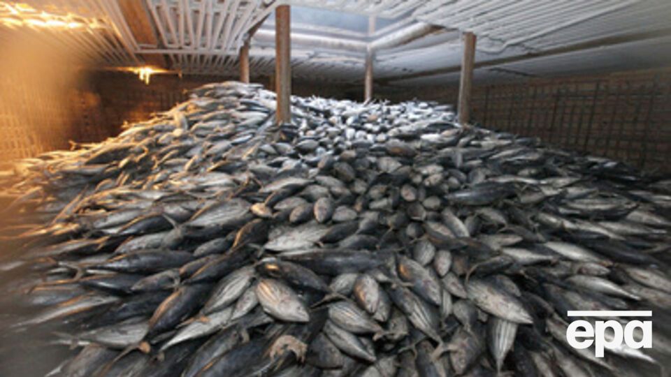 В Крым не пустили рыбу