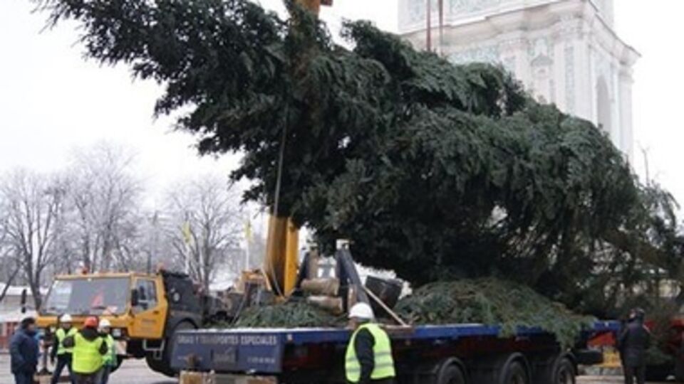 Установка елки длилась более 8 часов