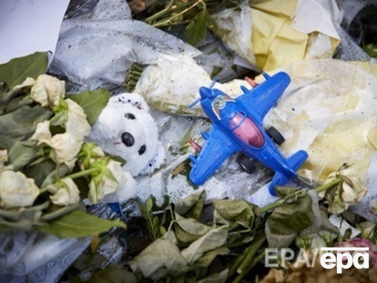 Boeing 777 авиакомпании Malaysia Airlines потерпел крушение 17 июля в Донецкой области