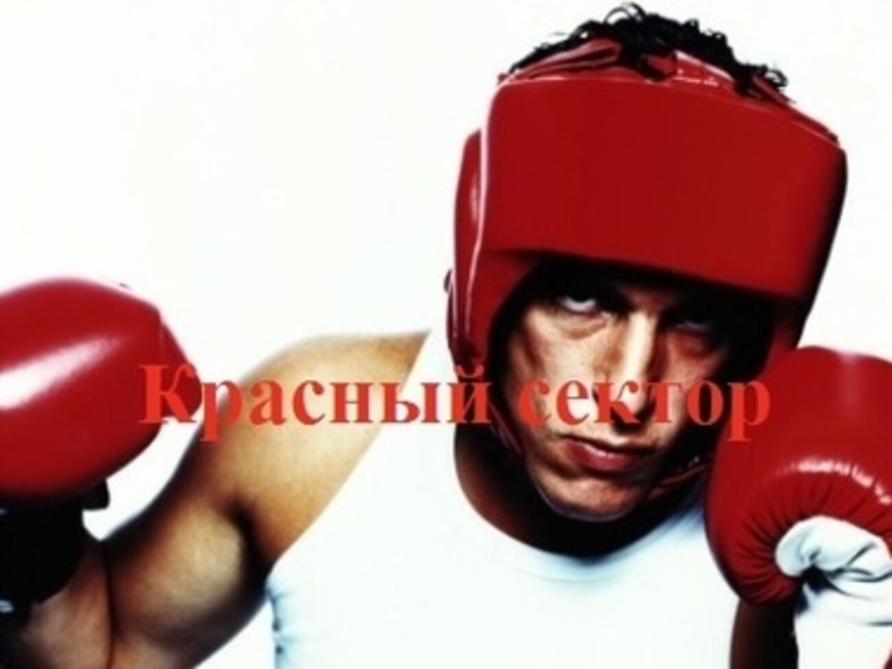 Организация взяла на себя поджоги авто