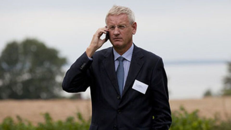 Карл Бильдт