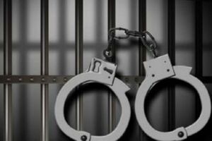 Преступники организовали группировку еще в 2010 году