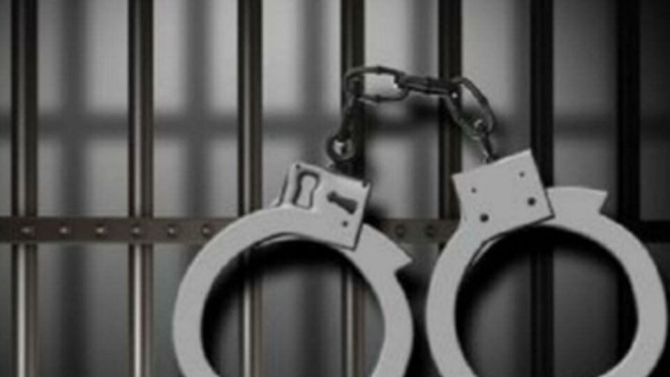 Преступники организовали группировку еще в 2010 году