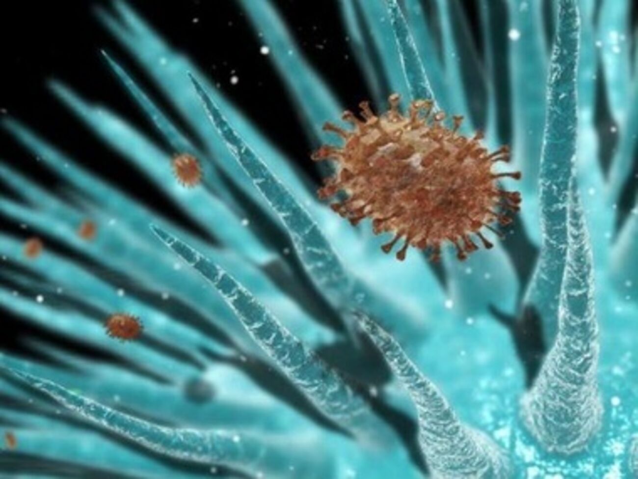 В Донецкой области отмечена первая смерть от гриппа в Украине в 2014