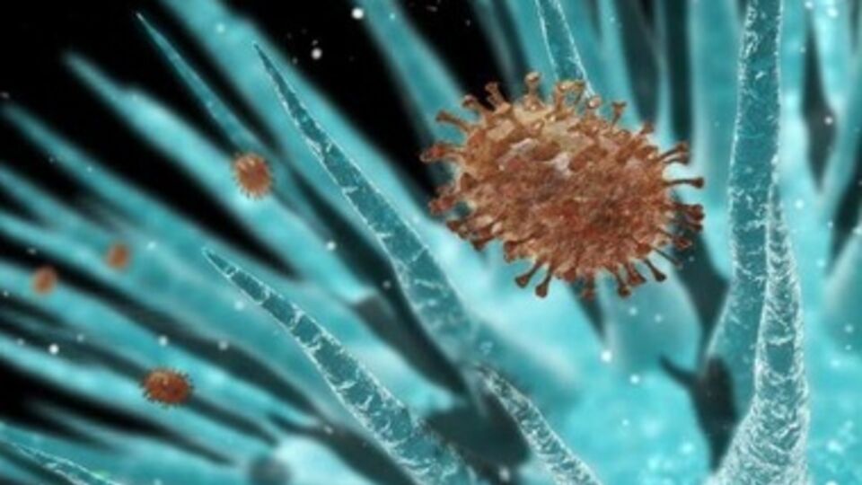 В Донецкой области отмечена первая смерть от гриппа в Украине в 2014