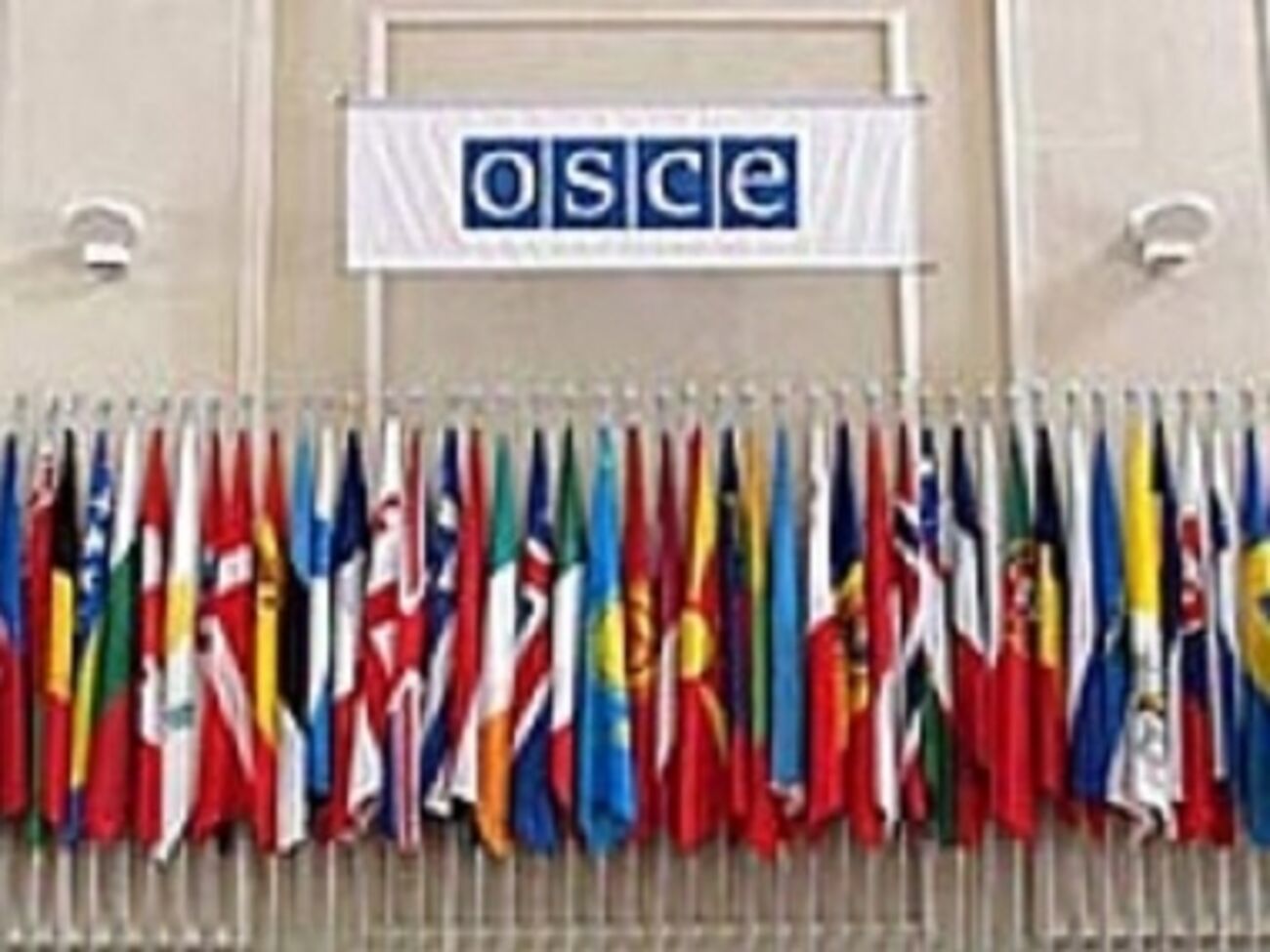 В ОБСЕ готовы помочь Украине