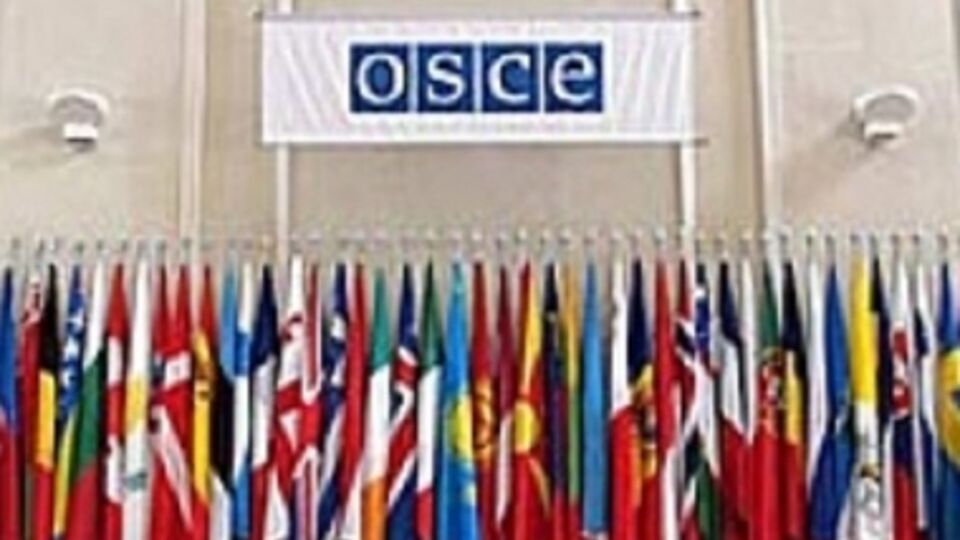 В ОБСЕ готовы помочь Украине