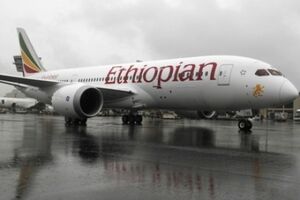 Угонщик самолета эфиопских авиалиний задержан