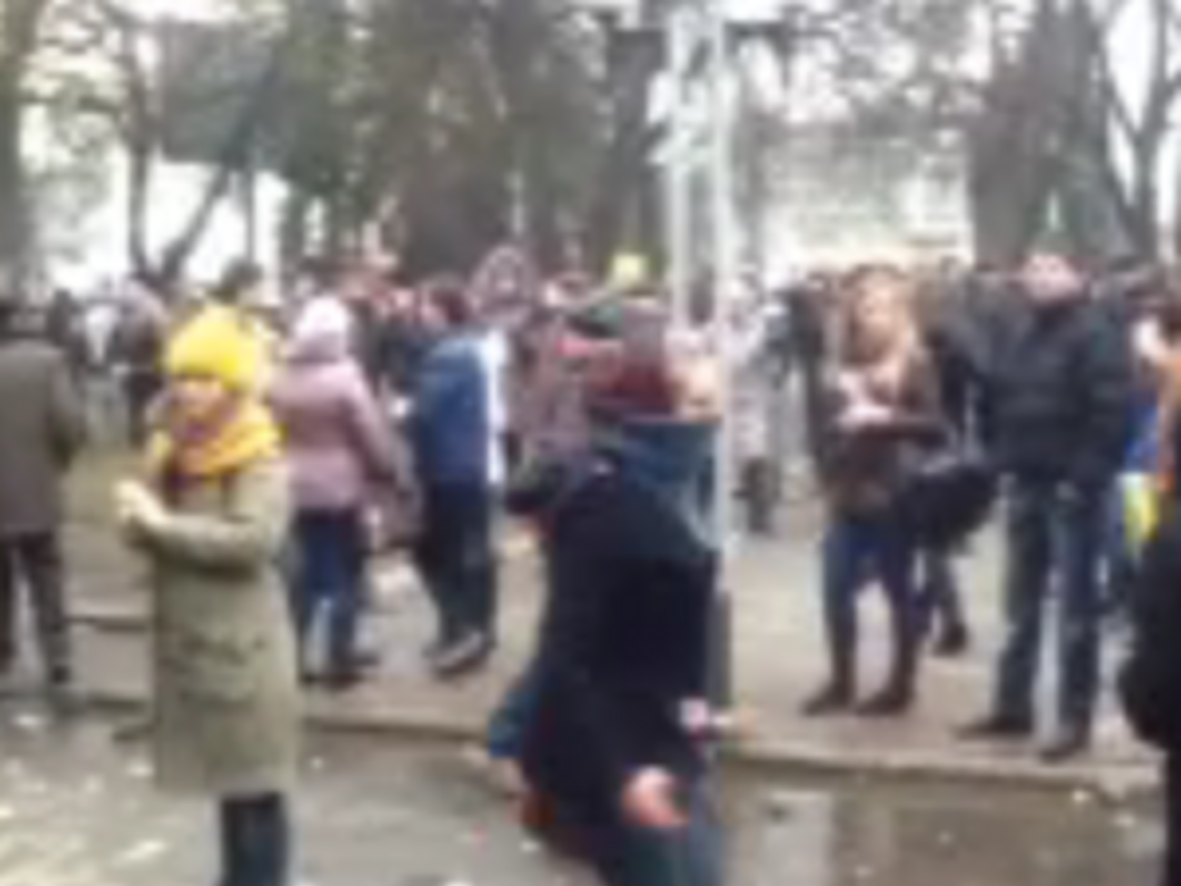 Митинг у Луцкого МВД