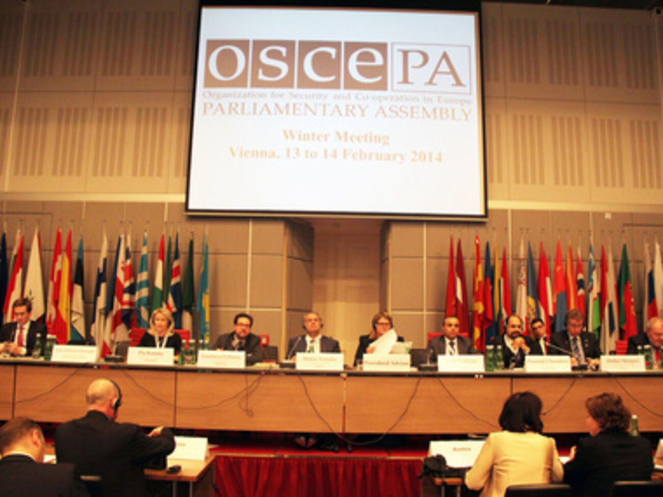 ОБСЕ призывет вернуться к парламентскому процессу