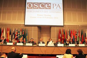 ОБСЕ призывет вернуться к парламентскому процессу