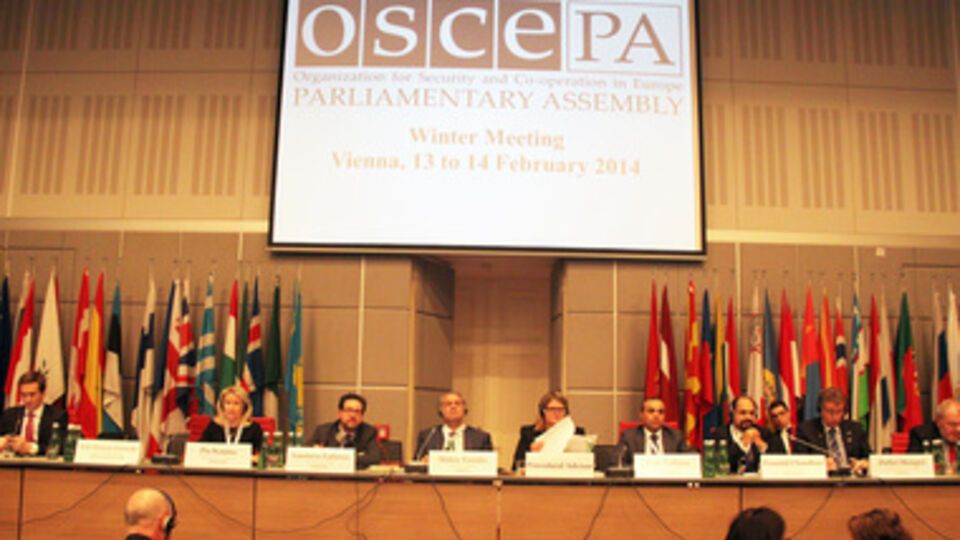 ОБСЕ призывет вернуться к парламентскому процессу