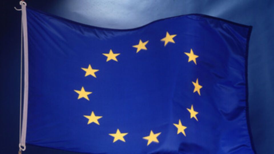 ЕС также голосует 25 мая