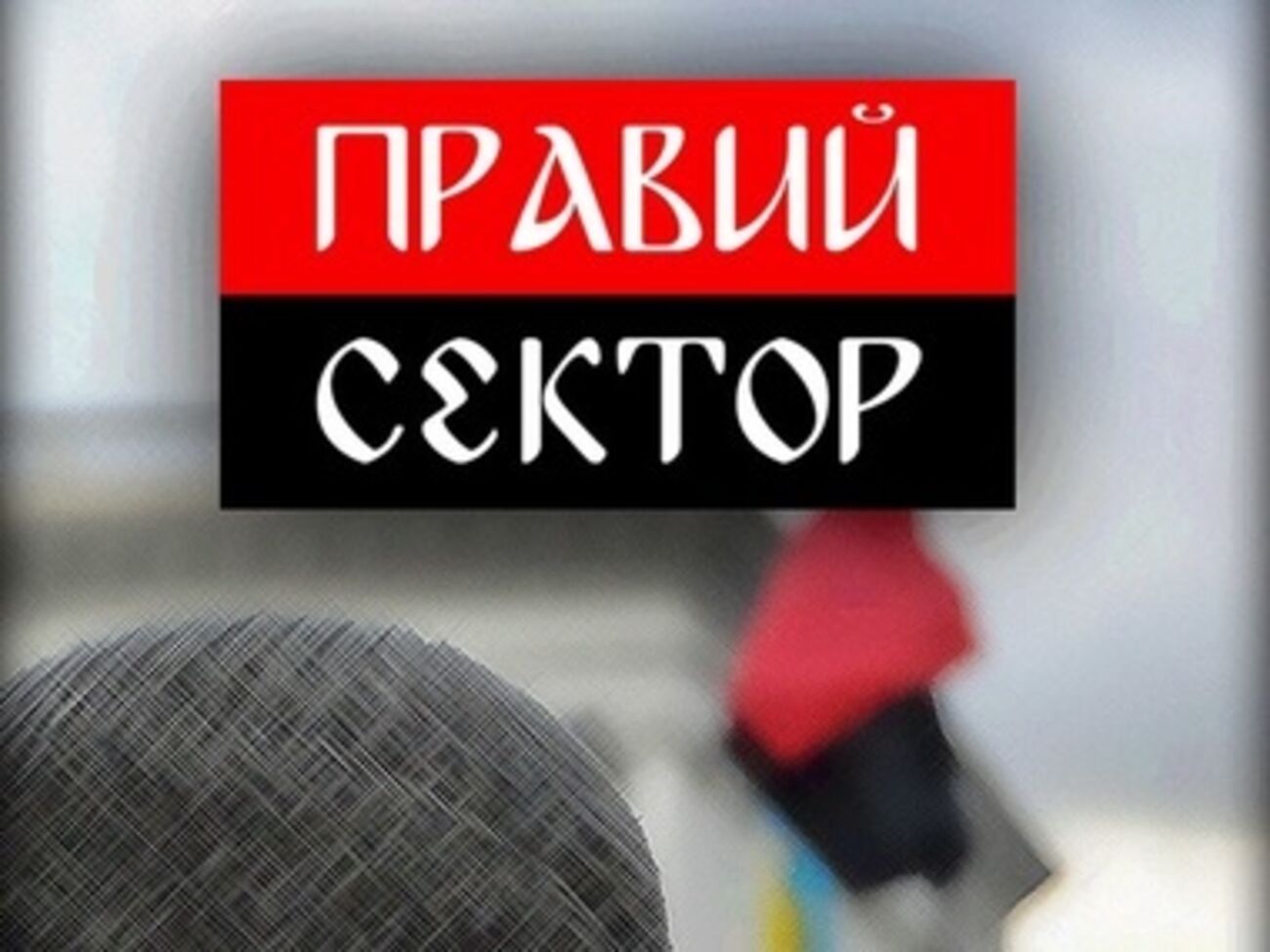 "Правый сектор" призывает не считать их русофобами