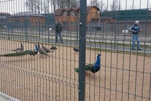 В резиденции "Межигорье"