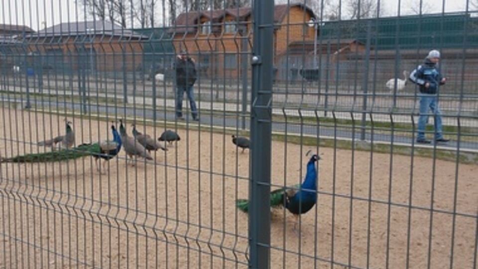 В резиденции "Межигорье"