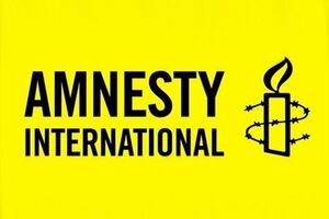Amnesty International: Новое правительство должно продемонстрировать свою способность расследовать нарушения прав человека