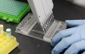 Американские ученые хотят получить разрешение на создание генно-модифицированного человека