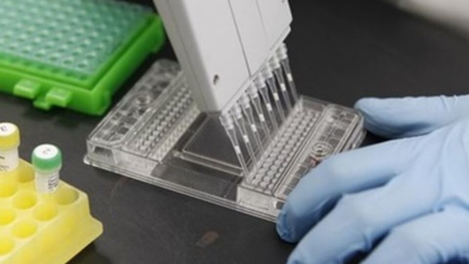 Американские ученые хотят получить разрешение на создание генно-модифицированного человека