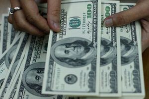 Доллар поднялся до 8,74