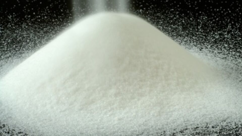 Под свеклу сократили посевы