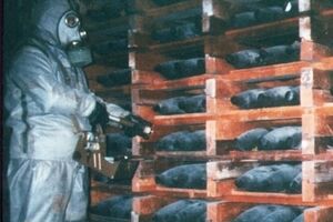 Химоружие в Сирии пока окончательно не ликвидировано