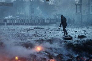 Акции протеста на Майдане начались в ноябре 2013-го, а в январе 2014 года произошли столкновения протетующих с милицией на улице Грушевского