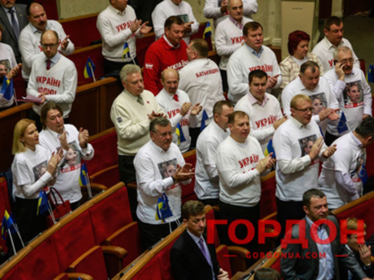 "Батьківщина" опровергает обвинения МВД