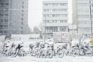 Японию накрыли снегопады