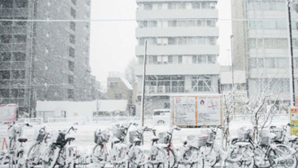 Японию накрыли снегопады