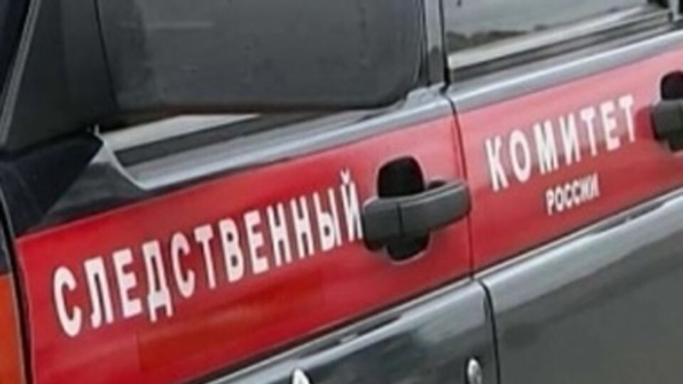 Следственный комитет РФ открыл уголовное дело