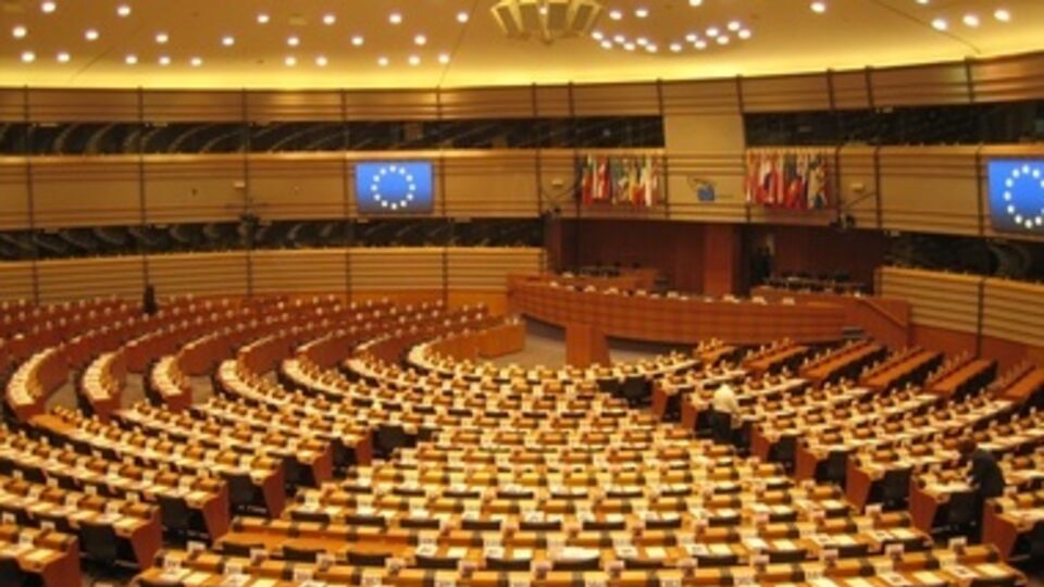 Депутаты Европарламента выразили полную поддержку новому правительству Украины