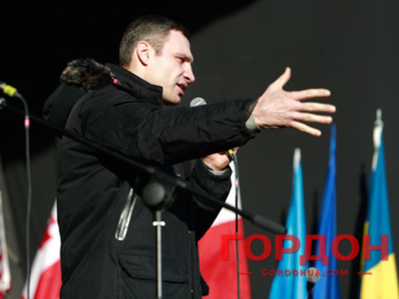 Однопартийцы Виталия Кличко заявляют, что Россия вмешивается в дела Украины