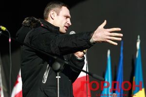 Однопартийцы Виталия Кличко заявляют, что Россия вмешивается в дела Украины