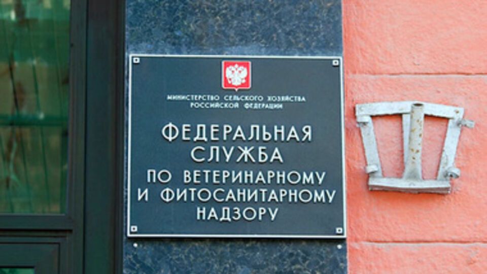 Российская сторона опасается сала и мяса из Украины