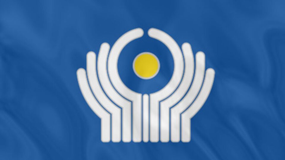 Украина хочет покинуть СНГ