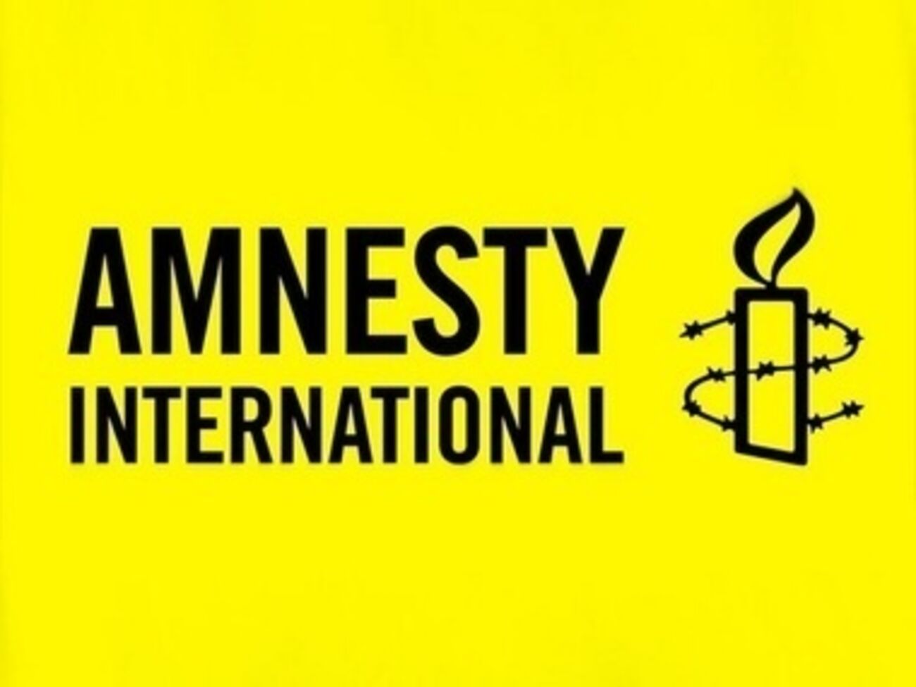 Amnesty International возмущены нападением на&nbsp;Пантелеймонова
