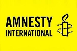 Amnesty International возмущены нападением на Пантелеймонова