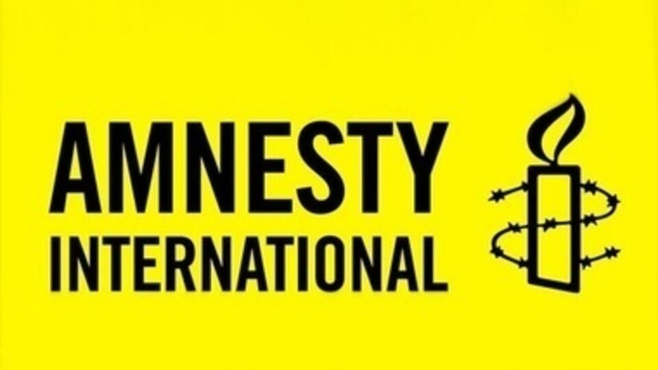 Amnesty International возмущены нападением на Пантелеймонова