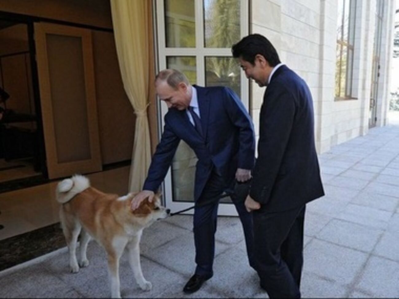 Владимир Путин славится своей любовью к животным